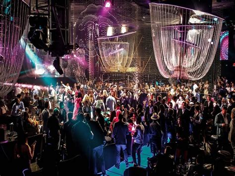 cavalli club photos